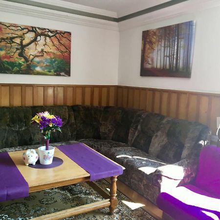 Rolling Stone Hostel Брашов Экстерьер фото