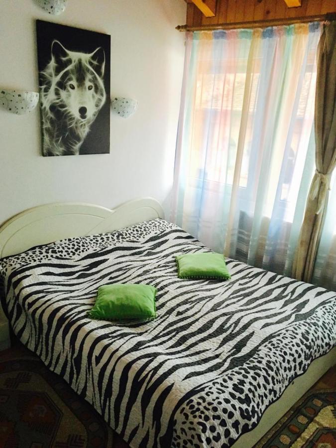 Rolling Stone Hostel Брашов Экстерьер фото